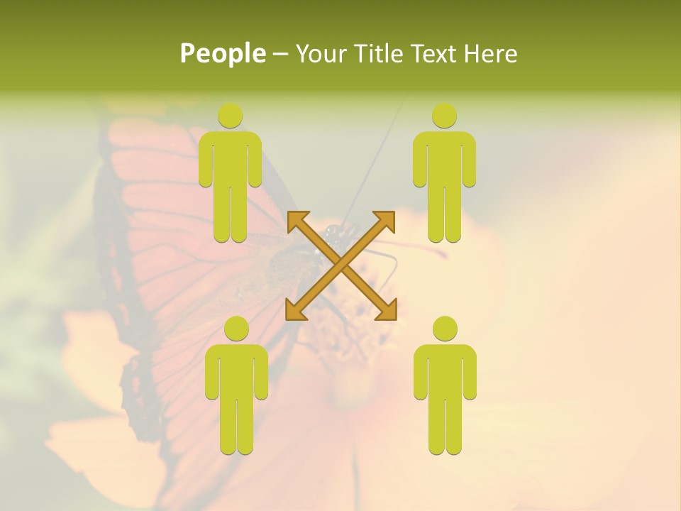 Flying Field Wildlife PowerPoint Template