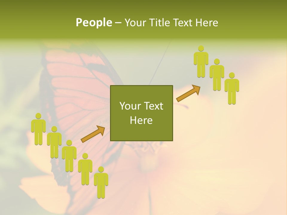 Flying Field Wildlife PowerPoint Template