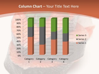 Slice Object Preparation PowerPoint Template