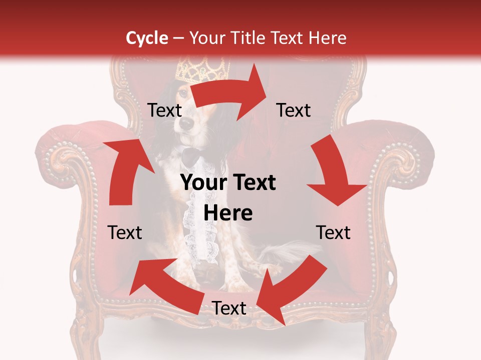 Studio Crown Carnival PowerPoint Template