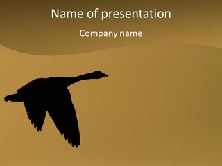 Migratory Birding Wing PowerPoint Template