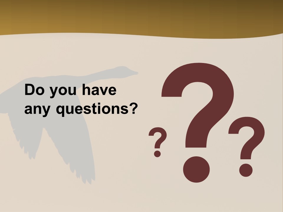 Migratory Birding Wing PowerPoint Template