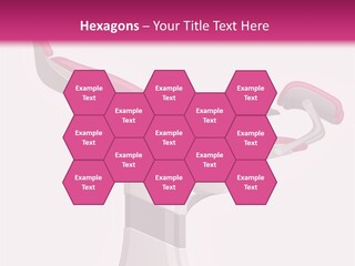 Chair Abortion Examination PowerPoint Template