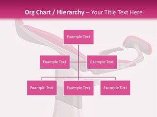 Chair Abortion Examination PowerPoint Template