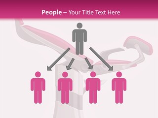 Chair Abortion Examination PowerPoint Template