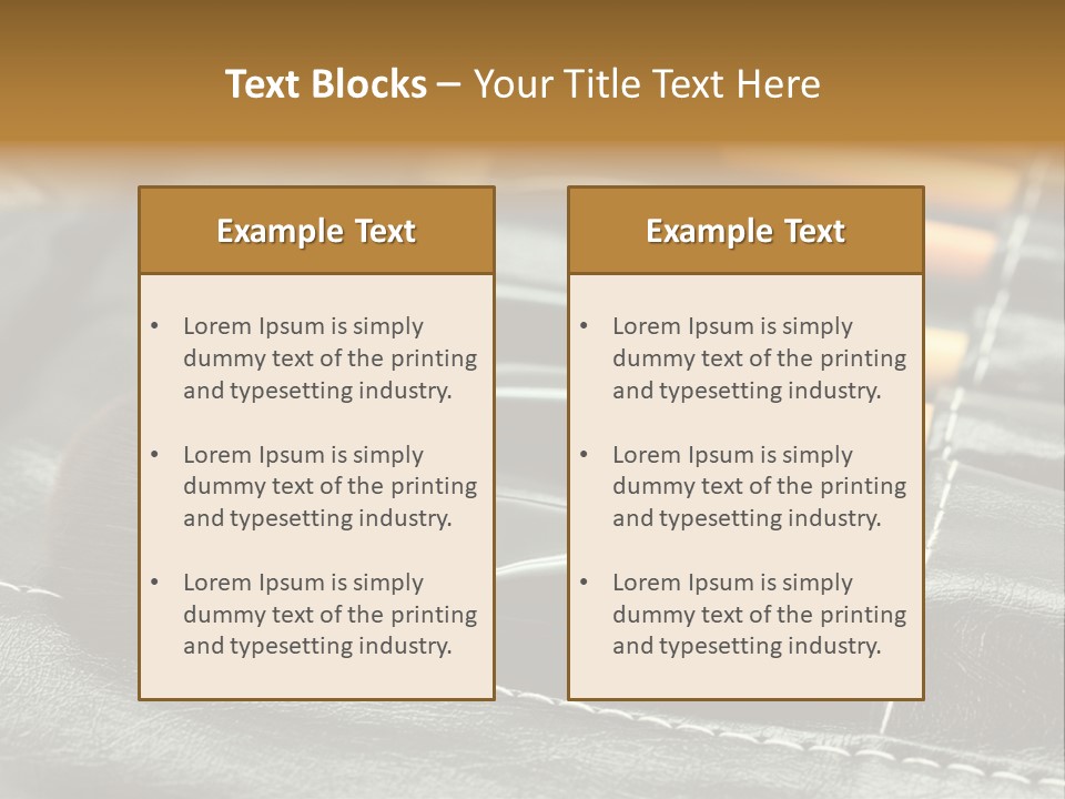 Beauty Care Application PowerPoint Template