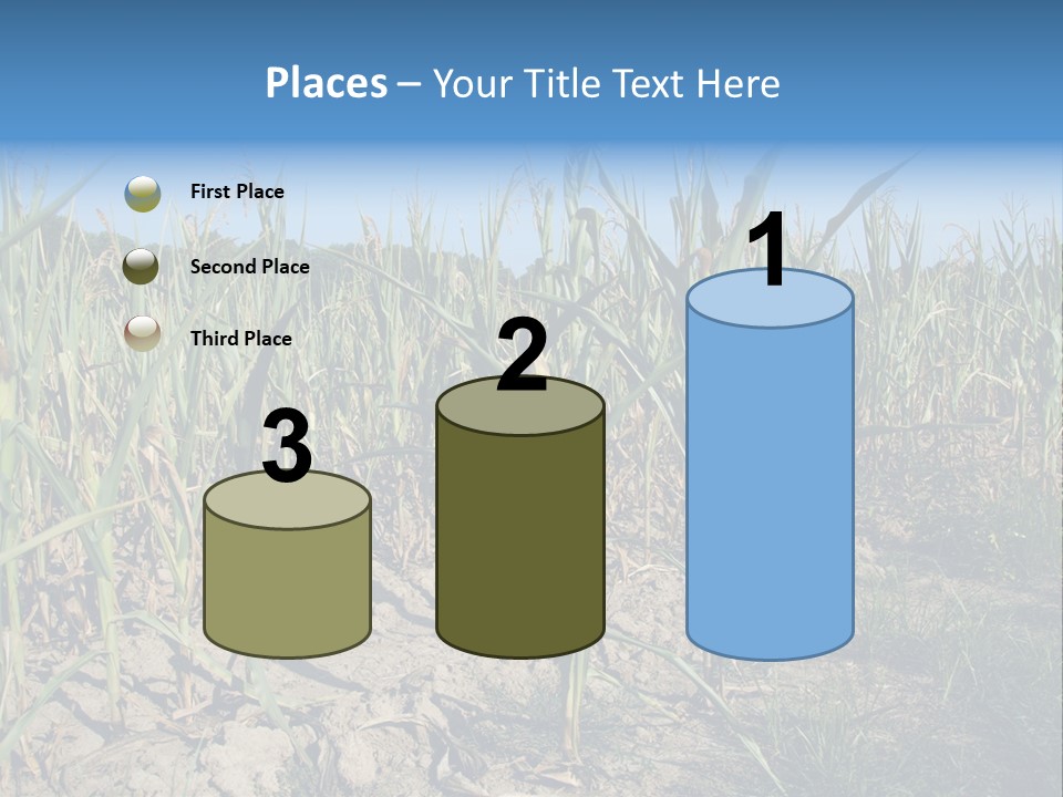 Agriculture Farming Drought PowerPoint Template