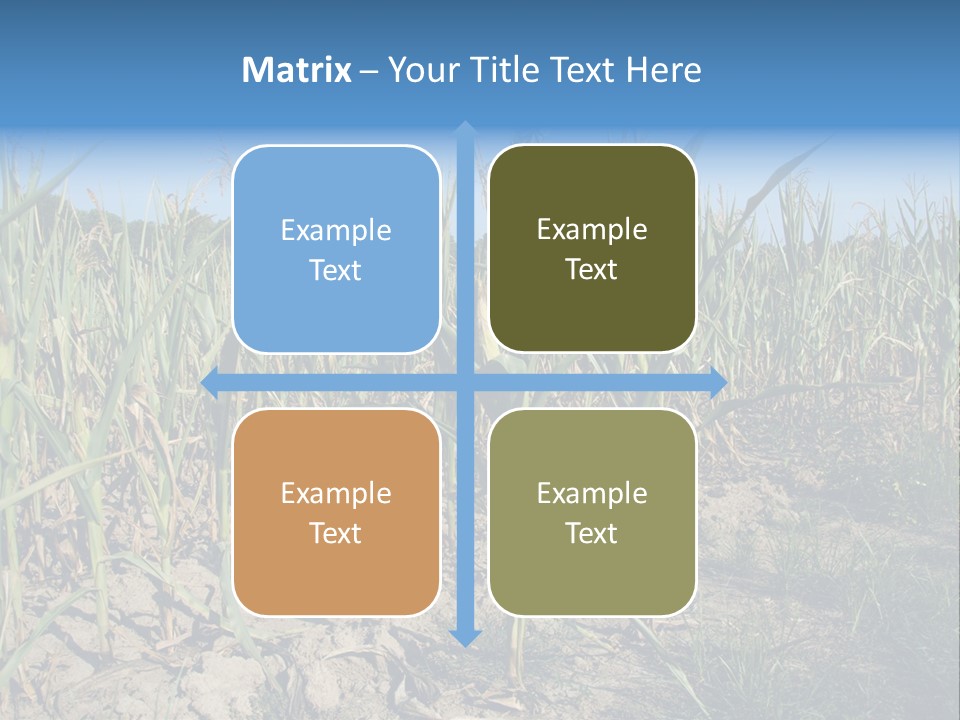 Agriculture Farming Drought PowerPoint Template