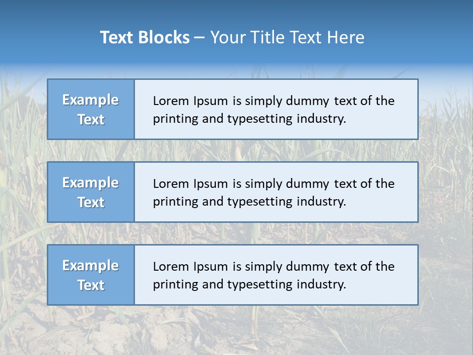 Agriculture Farming Drought PowerPoint Template