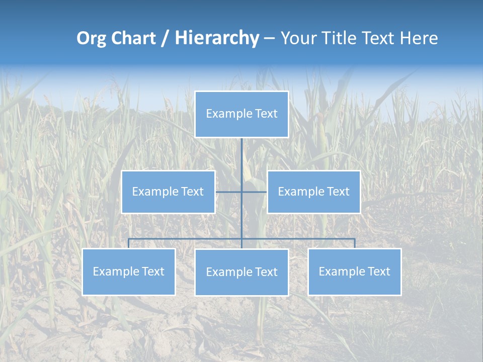 Agriculture Farming Drought PowerPoint Template