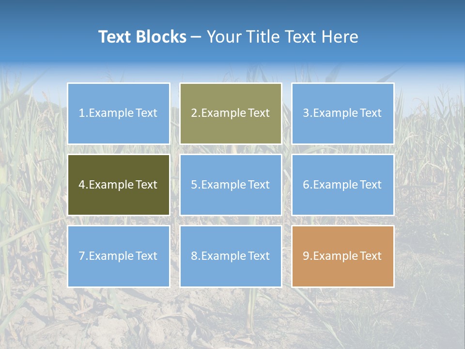 Agriculture Farming Drought PowerPoint Template