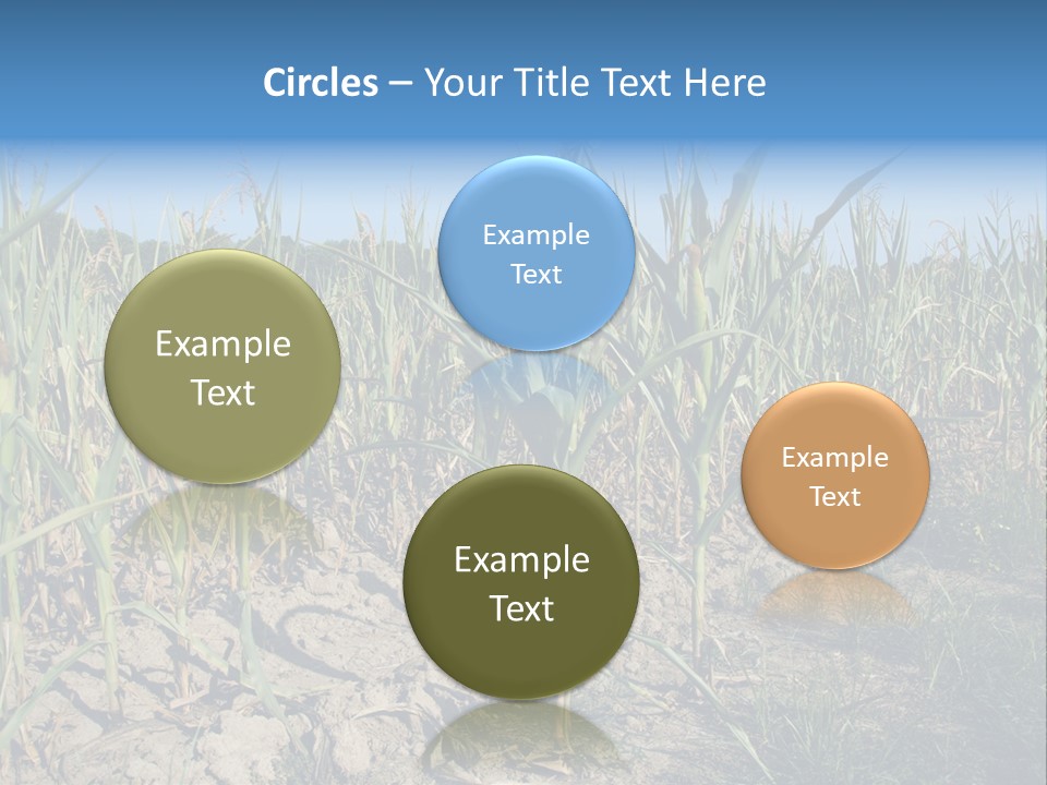 Agriculture Farming Drought PowerPoint Template