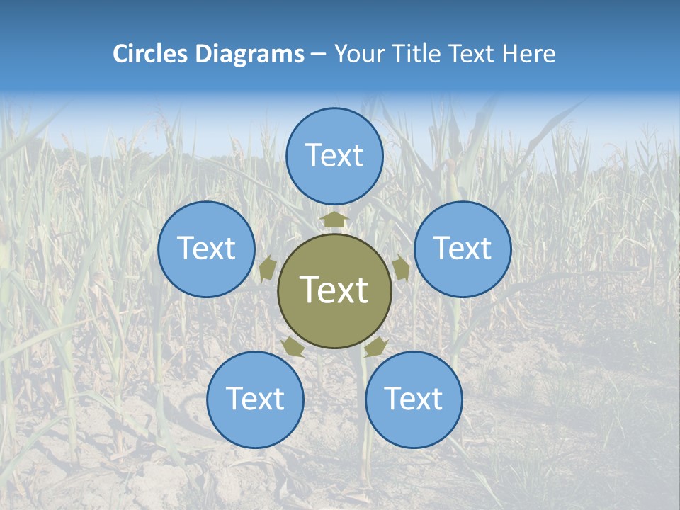 Agriculture Farming Drought PowerPoint Template