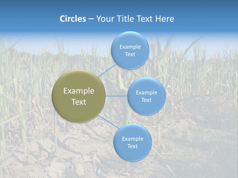 Agriculture Farming Drought PowerPoint Template