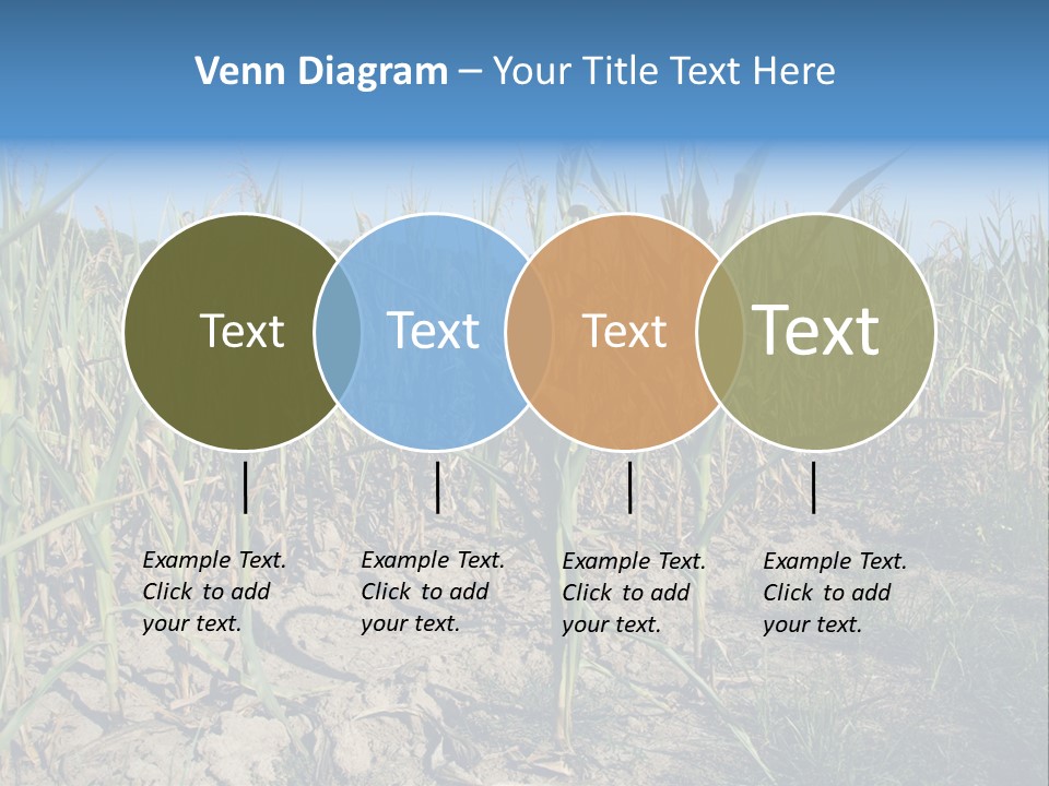 Agriculture Farming Drought PowerPoint Template
