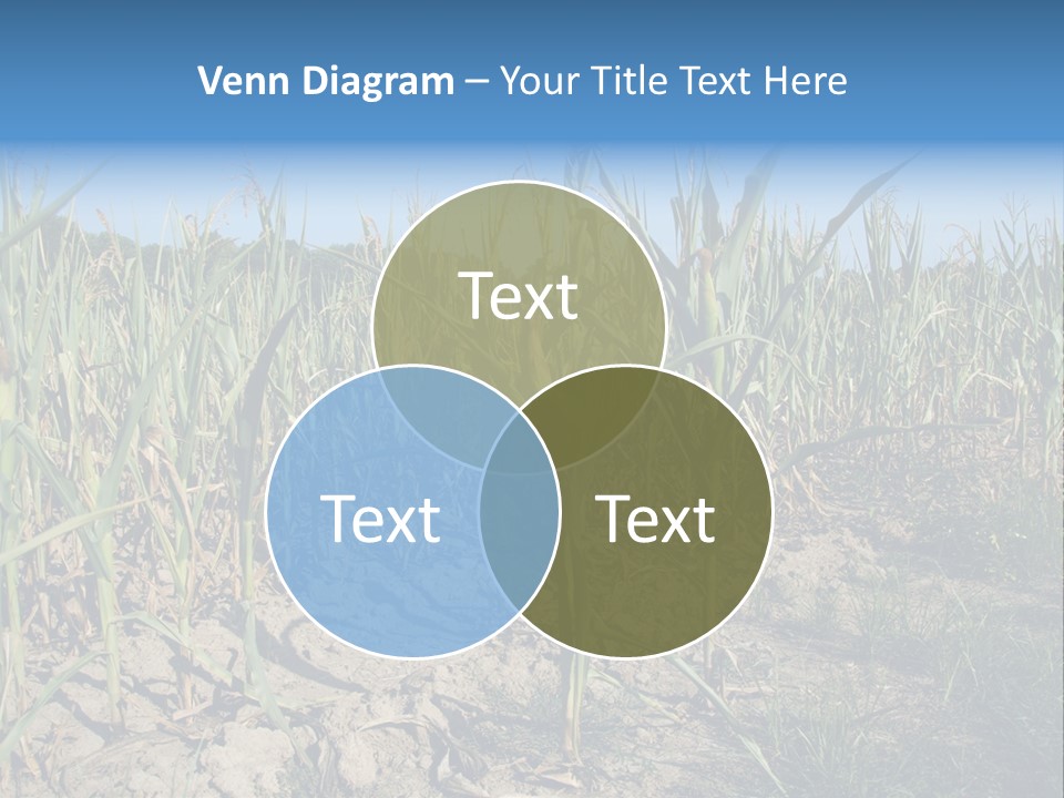 Agriculture Farming Drought PowerPoint Template