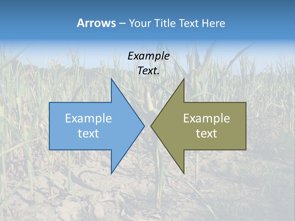 Agriculture Farming Drought PowerPoint Template