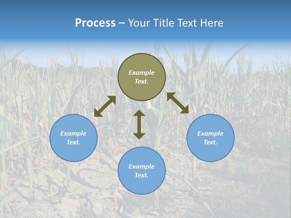 Agriculture Farming Drought PowerPoint Template