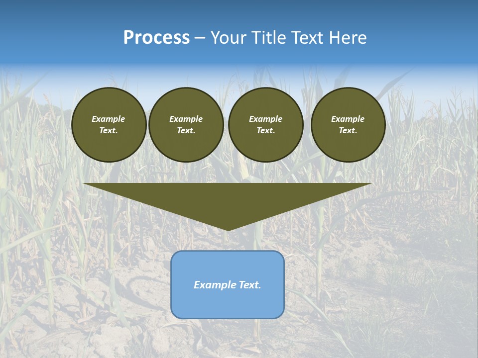 Agriculture Farming Drought PowerPoint Template