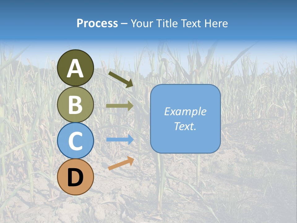 Agriculture Farming Drought PowerPoint Template
