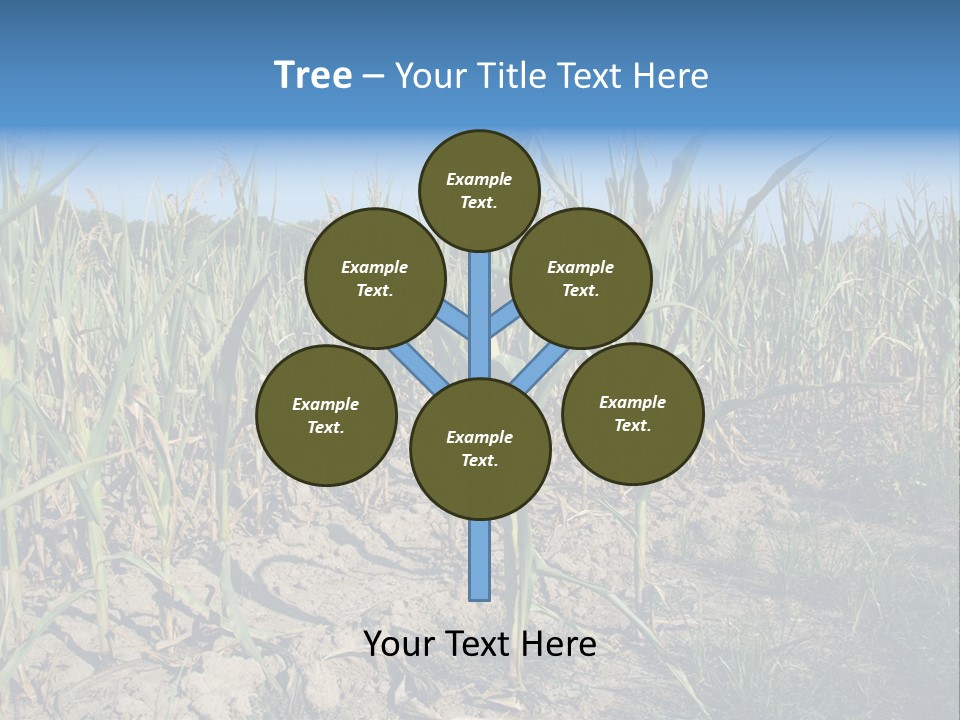 Agriculture Farming Drought PowerPoint Template