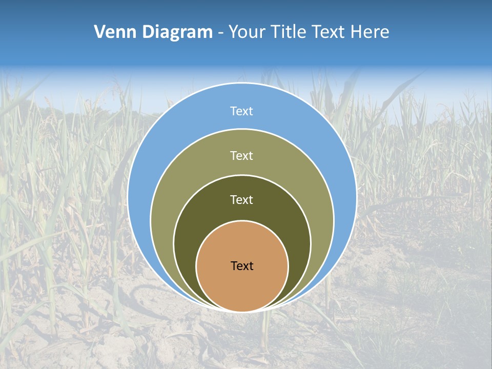 Agriculture Farming Drought PowerPoint Template