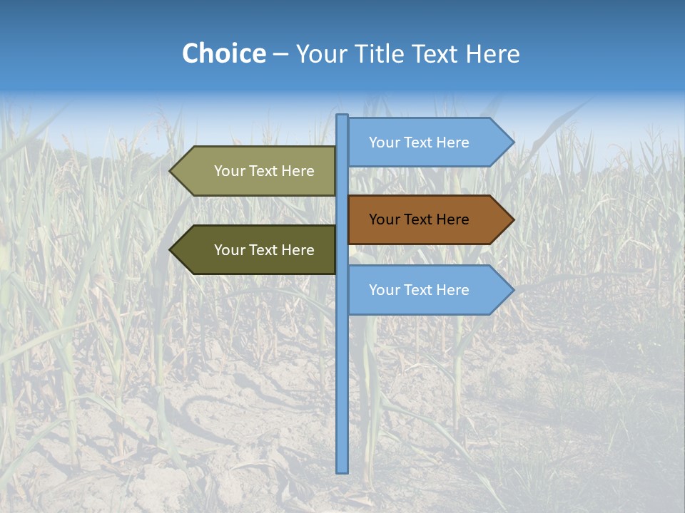 Agriculture Farming Drought PowerPoint Template