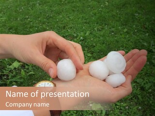 Many Hail Cool PowerPoint Template