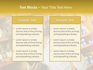Person Hand Purchase PowerPoint Template