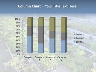 Designer Plants Eco PowerPoint Template