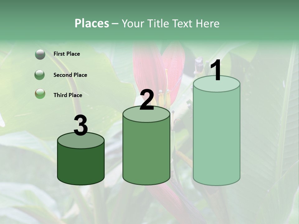 Season Garden Blooming PowerPoint Template