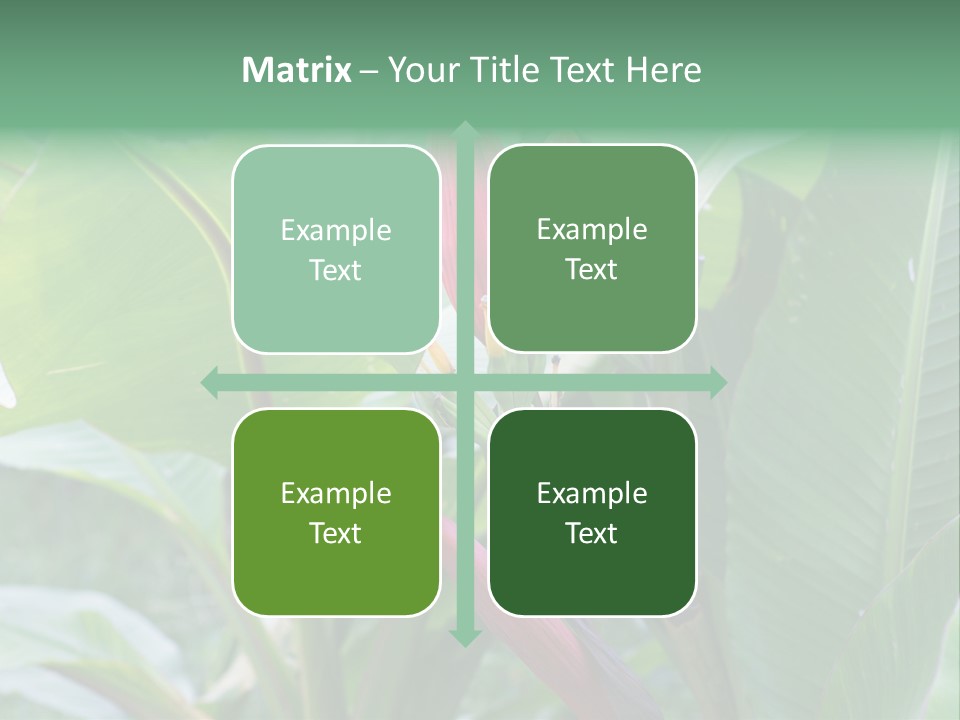 Season Garden Blooming PowerPoint Template