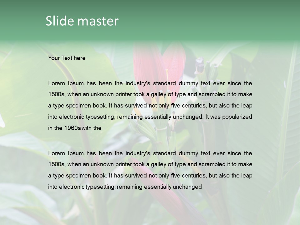 Season Garden Blooming PowerPoint Template