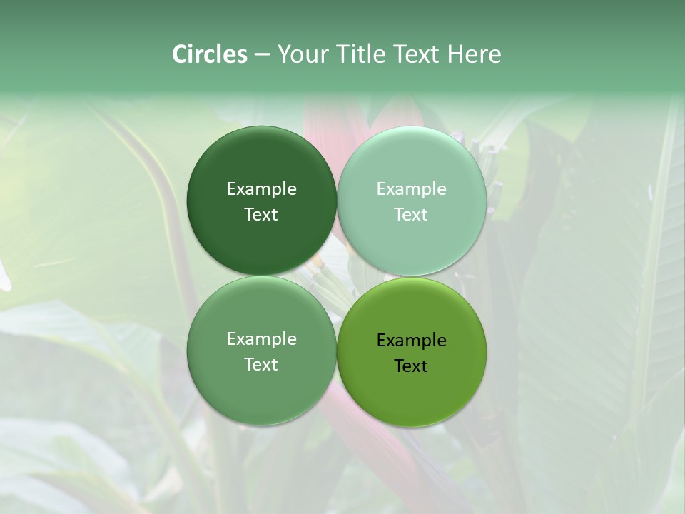 Season Garden Blooming PowerPoint Template