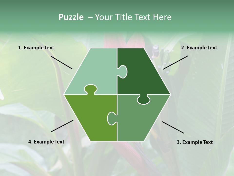 Season Garden Blooming PowerPoint Template