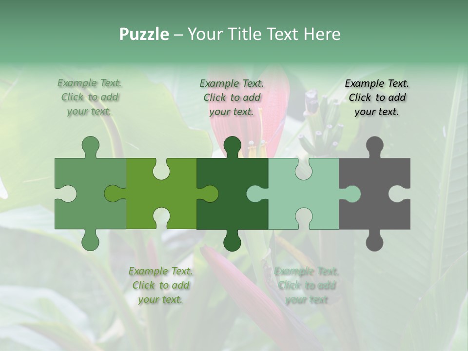 Season Garden Blooming PowerPoint Template