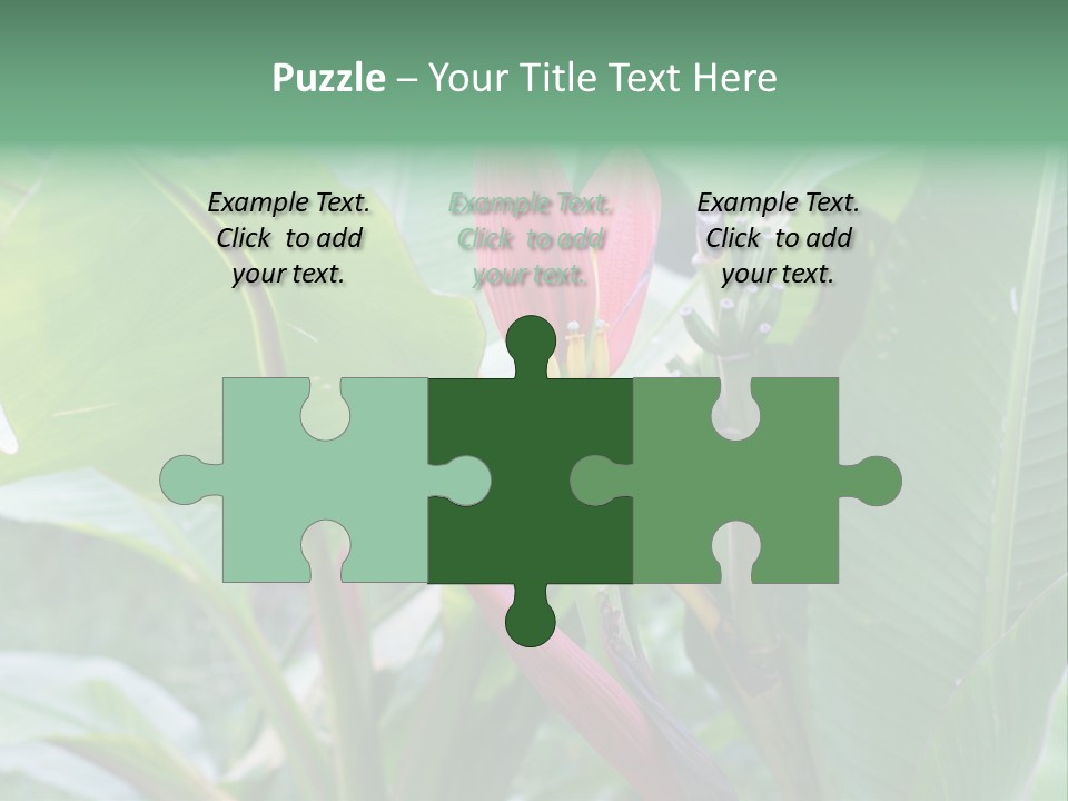 Season Garden Blooming PowerPoint Template