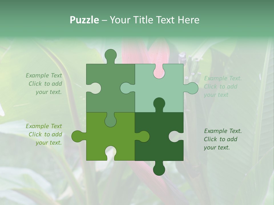 Season Garden Blooming PowerPoint Template