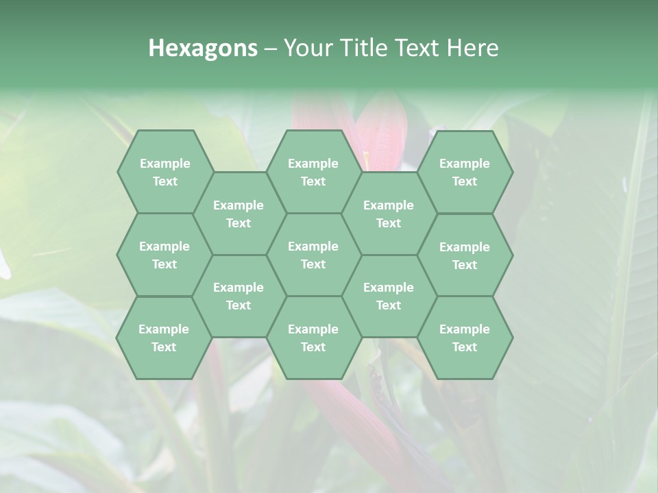 Season Garden Blooming PowerPoint Template
