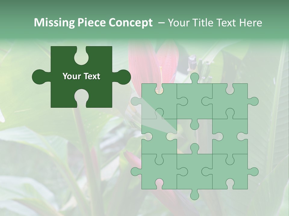 Season Garden Blooming PowerPoint Template