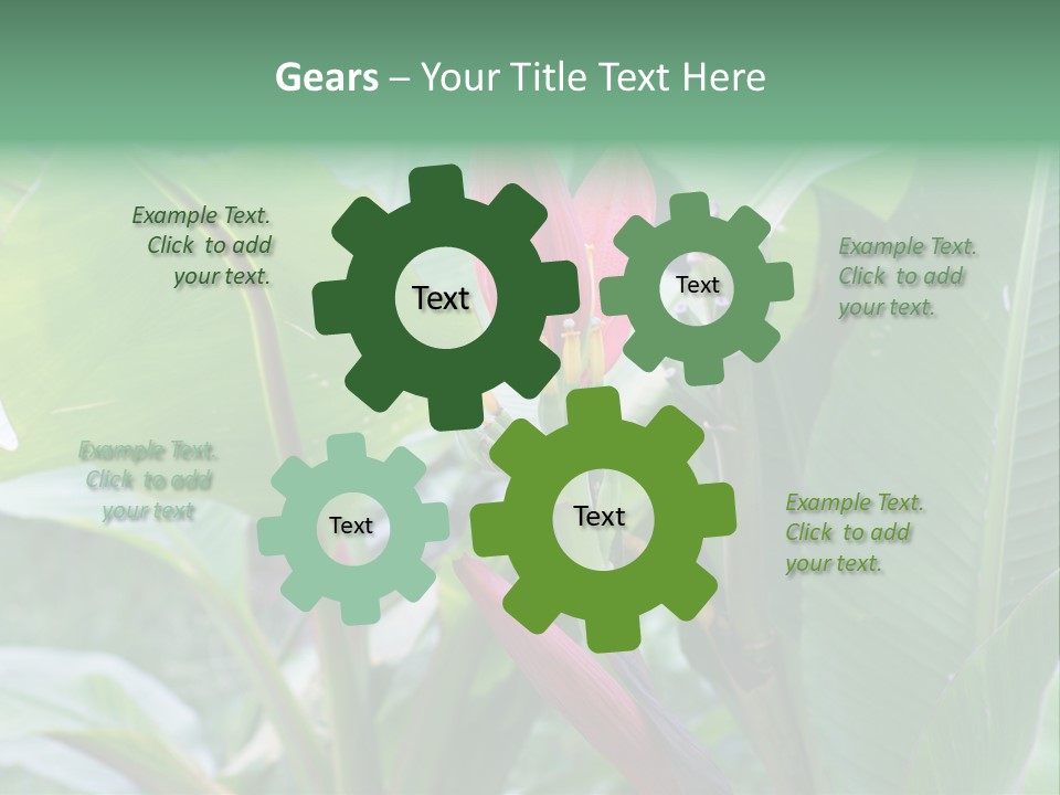 Season Garden Blooming PowerPoint Template