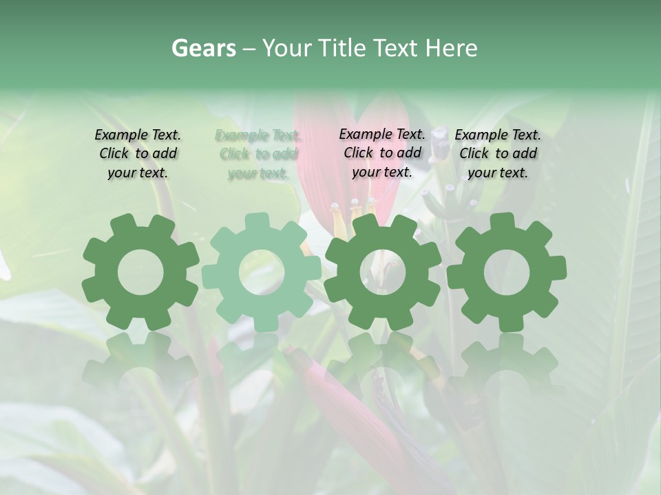 Season Garden Blooming PowerPoint Template