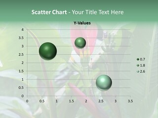 Season Garden Blooming PowerPoint Template