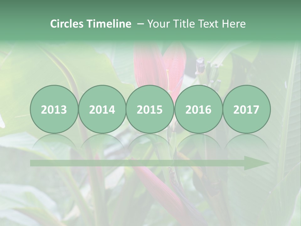 Season Garden Blooming PowerPoint Template