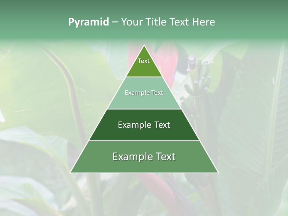 Season Garden Blooming PowerPoint Template