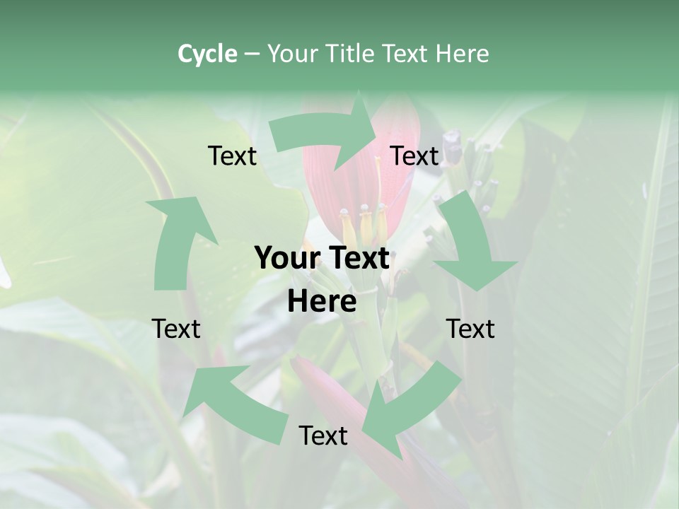 Season Garden Blooming PowerPoint Template