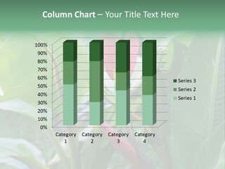 Season Garden Blooming PowerPoint Template