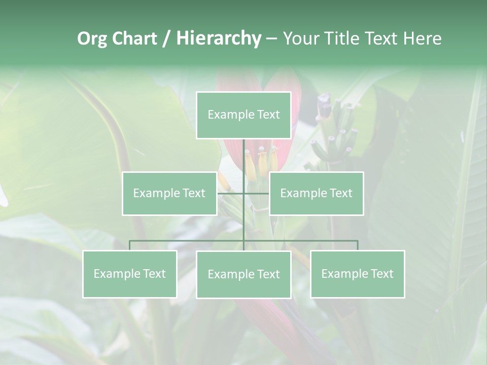 Season Garden Blooming PowerPoint Template