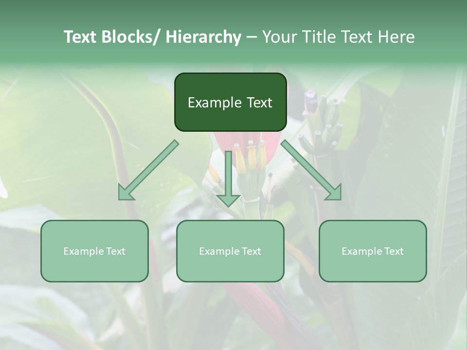 Season Garden Blooming PowerPoint Template