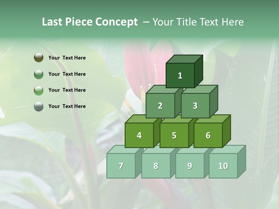 Season Garden Blooming PowerPoint Template
